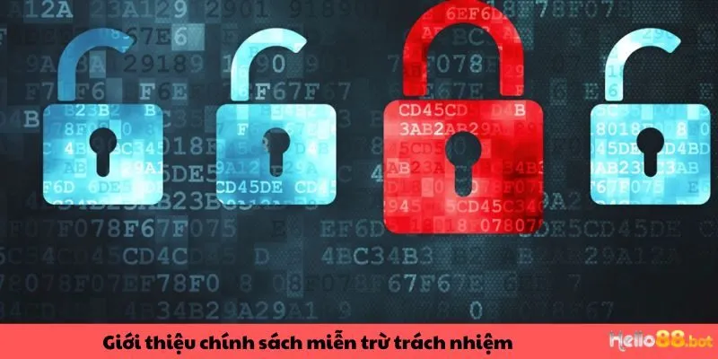 Giới thiệu thông tin về chính sách miễn trừ trách nhiệm