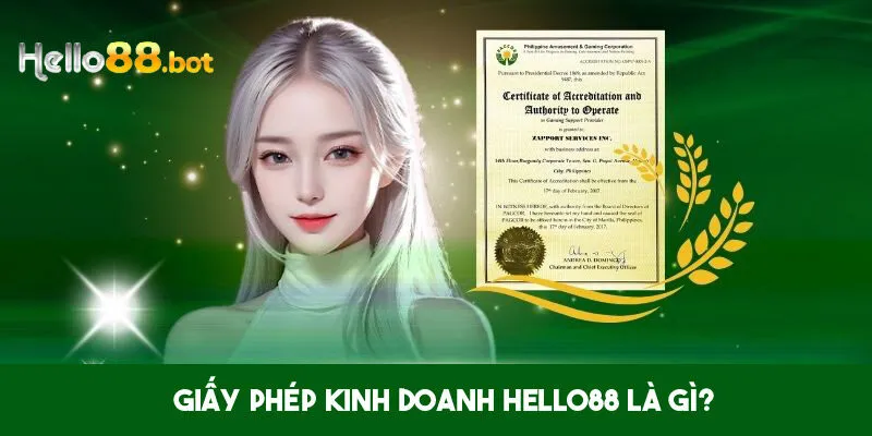 Tìm hiểu về giấy phép kinh doanh của Hello88